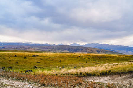 Vast rural fields, grasslands, pasturesの写真素材