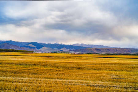Vast rural fields, grasslands, pasturesの写真素材