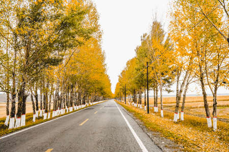 Vast rural fields, grasslands, pasturesの写真素材