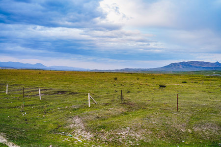 Vast rural fields, grasslands, pasturesの写真素材