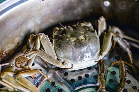 Cooking hairy crabs in the kitchenの写真素材