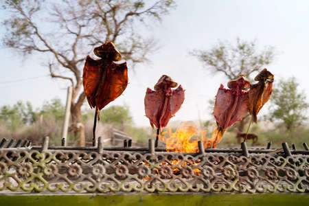 Original village outdoor grilled fish with wooden sticksの写真素材