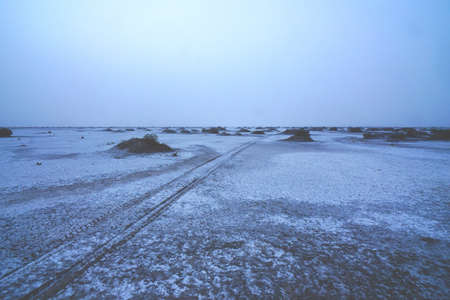 Winter white surface track wilderness