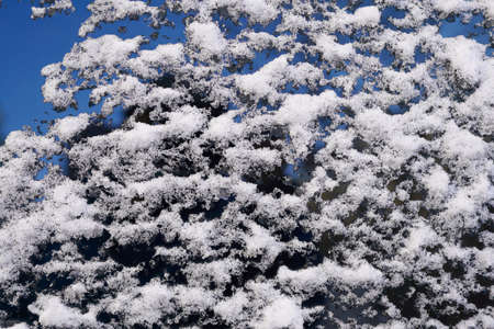 Ice and snow surface texture