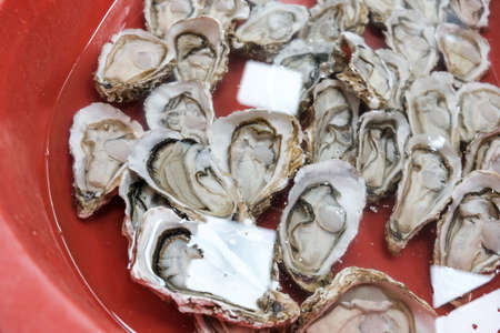 Thailand seafood market fresh oystersの写真素材