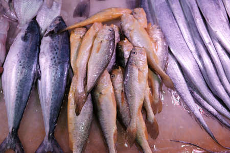 Thailand seafood market fresh sea fish