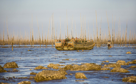 Boat in a mudflatのeditorial素材