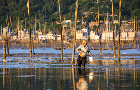 Man searching for shellfish