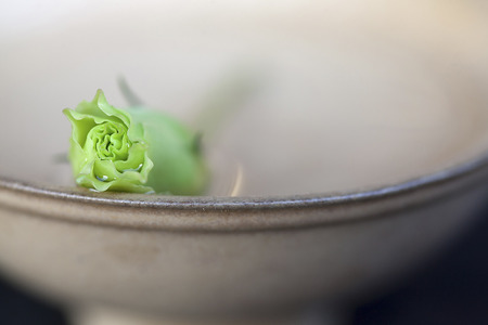 Pretty little flowers in the Bowlの写真素材