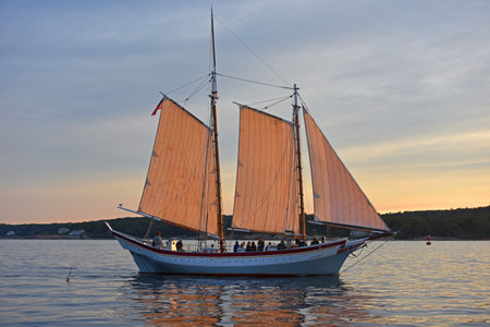 Schooner Ardelle sails at sunset in Gloucester Harbor, Massachusetts MA, USA.のeditorial素材