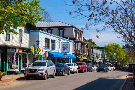 Cool As A Moose at 118 Main Street in historic town center of Bar Harbor, Maine ME, USA.のeditorial素材