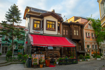 Dubb Ethnic Restaurant on Amiral Tafdil Sk Street in Sultanahmet in historic city of Istanbul, Turkey.のeditorial素材