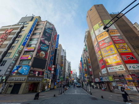 Kabukicho at Central Road near Shinjuku Toho Building in Shinjuku City, Tokyo, Japan.のeditorial素材