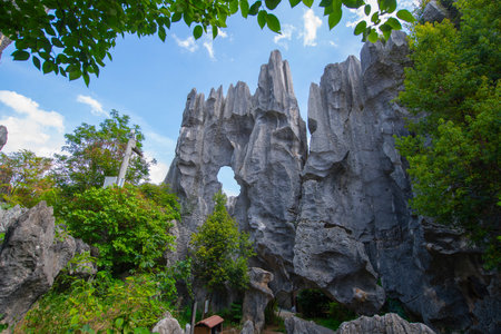 Stone Forest or Shilin is a set of limestone formation located in Shilin County, Kunming City, Yunnan, China. Shilin is a part of South China Karst registered as UNESCO World Heritの写真素材