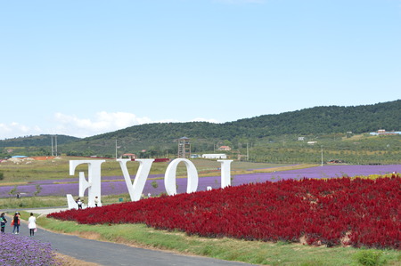 Manorのeditorial素材