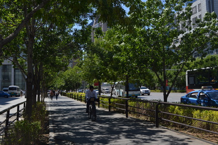 shady pathwayのeditorial素材