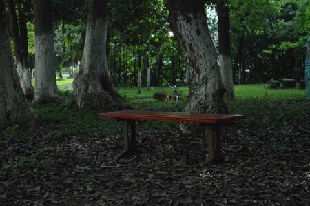 benchの写真素材