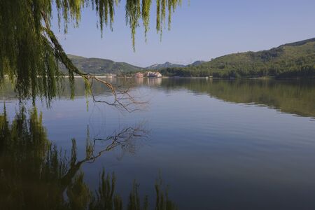 The landscape of lake in deep forestの写真素材