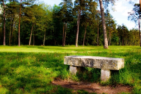 Chair