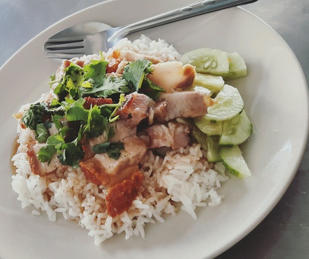 Sweet pork with sauce on riceの素材