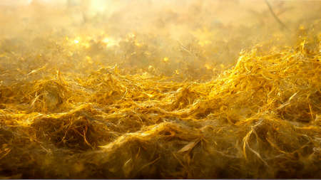 3D render gold abstract background with soft glowing backdrop texture for christmas and valentine.の写真素材
