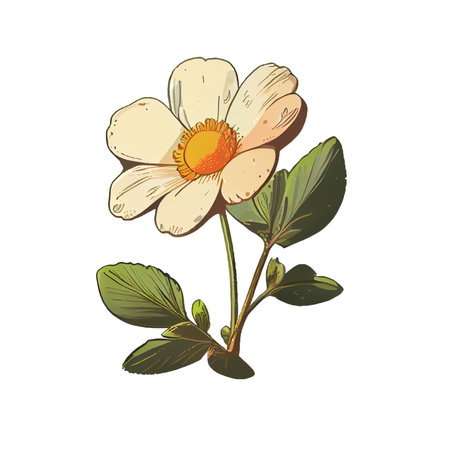 Cute flower hand drawn element, for decorating  Valentines Day or Mothers Day card. Sticker design.の写真素材