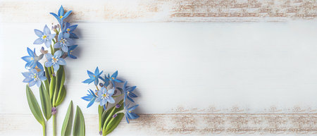 Top view blue Scilla flowers on white wooden background with space for text. First spring flowers. Greeting card for Valentine's Day, Woman's Day and Mother's Day.の写真素材
