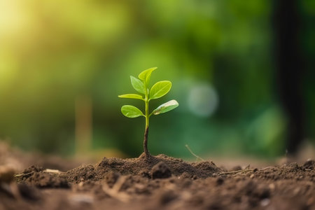 Young green plant growing at sunlight in the garden. World Earth Day banner. Save world concept.の写真素材