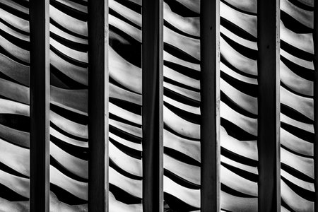 Abstract patterns monochrome background. High resolution black and white image.の写真素材