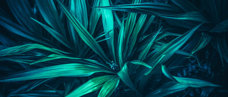 Tropical leaf forest glow in the dark background with copy space. High contrast concept.の写真素材