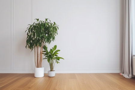 Empty room interior with plants and potted on wooden floor.  Still life concept.の写真素材