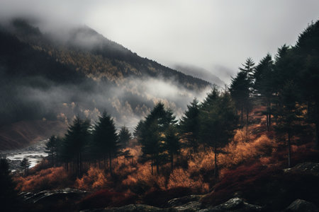 Spooky autumn mountains covered in fog, creating a mysterious and eerie atmosphereの素材