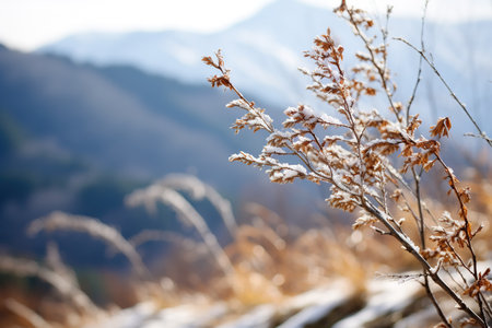 Gentle mountain forest breeze, snowy sky backdrop, swaying winter plants, and serene branches in a tranquil natural sceneの素材