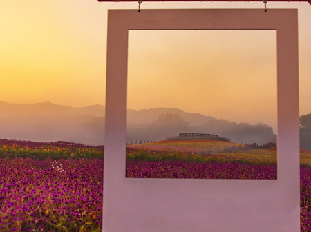 The garden of the morning looking into the wooden frameの写真素材