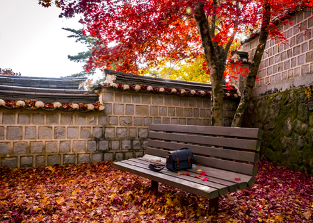 Autumn benchの写真素材