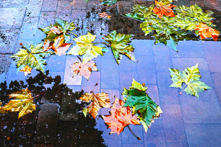 Traces of autumn