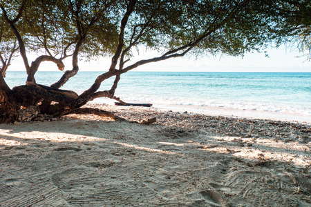 Beautiful sea and coastlines of Gili Meno, Indonesiaの写真素材