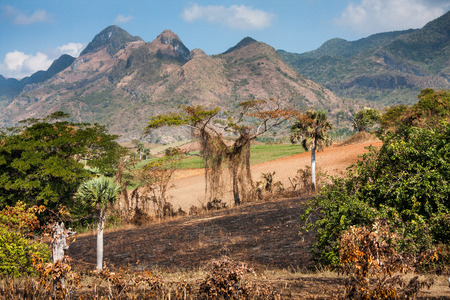 Cuban natural landscapeの写真素材