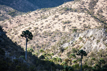 Cuban natural landscapeの写真素材