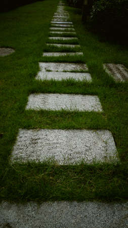 Stone walkway in the park with green grass on the ground.の写真素材