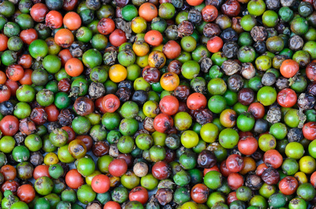 Pepper background 
