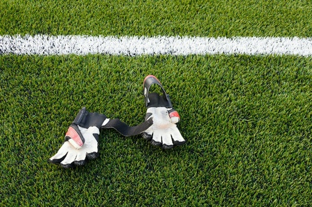 Gloves hand on field.の素材
