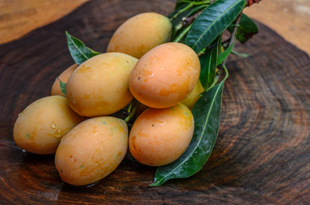 Mayongchid Maprang Marian Plum and Plum Mango thailand