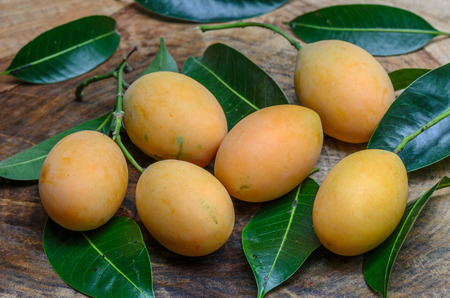 Mayongchid Maprang Marian Plum and Plum Mango thailand