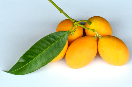 Mayongchid Maprang Marian Plum and Plum Mango thailandの写真素材