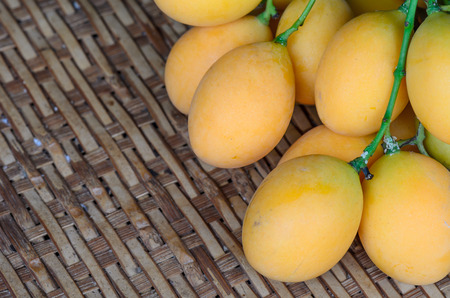 Mayongchid Maprang Marian Plum and Plum Mango thailand