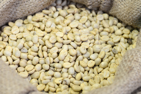 Green coffee beans in coffee bag.の写真素材