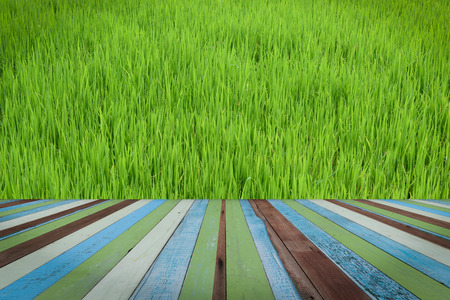 Green grass background with wood texture.の写真素材