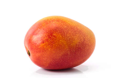 Mango Fruit isolated on white background, studio shot.の写真素材