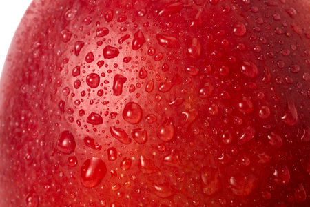 Mango Fruit isolated on white background, studio shot.の写真素材